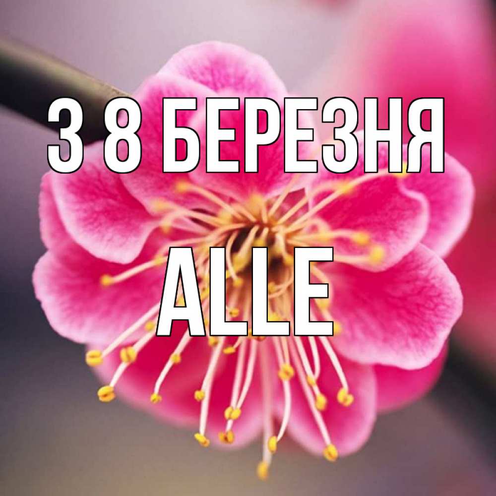Открытка на каждый день з підписом, Alle З 8 БЕРЕЗНЯ цветы Прикольна листівка з побажанням онлайн скачати безкоштовно 