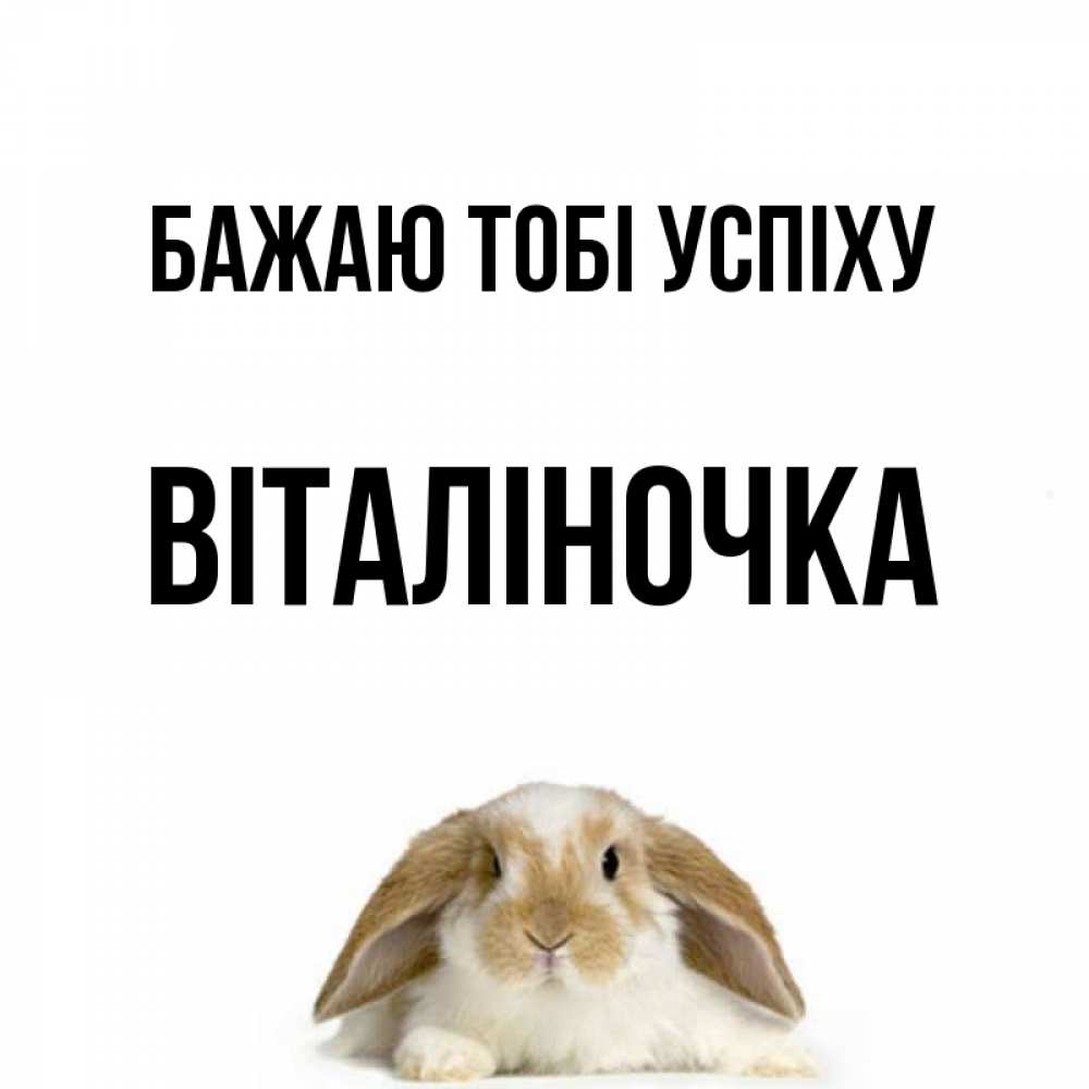 Открытка на каждый день з підписом, Віталіночка Бажаю тобі успіху открытки с произвольным текстом который можно вставить в открытку и создать ее самостоятельно бесплатно онлайн Прикольна листівка з побажанням онлайн скачати безкоштовно 