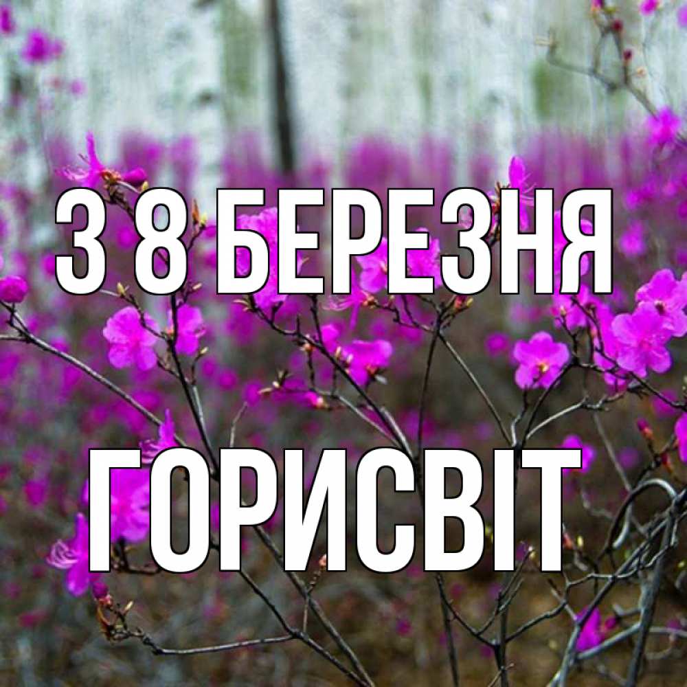 Открытка на каждый день з підписом, Горисвіт З 8 БЕРЕЗНЯ дикие цветы Прикольна листівка з побажанням онлайн скачати безкоштовно 