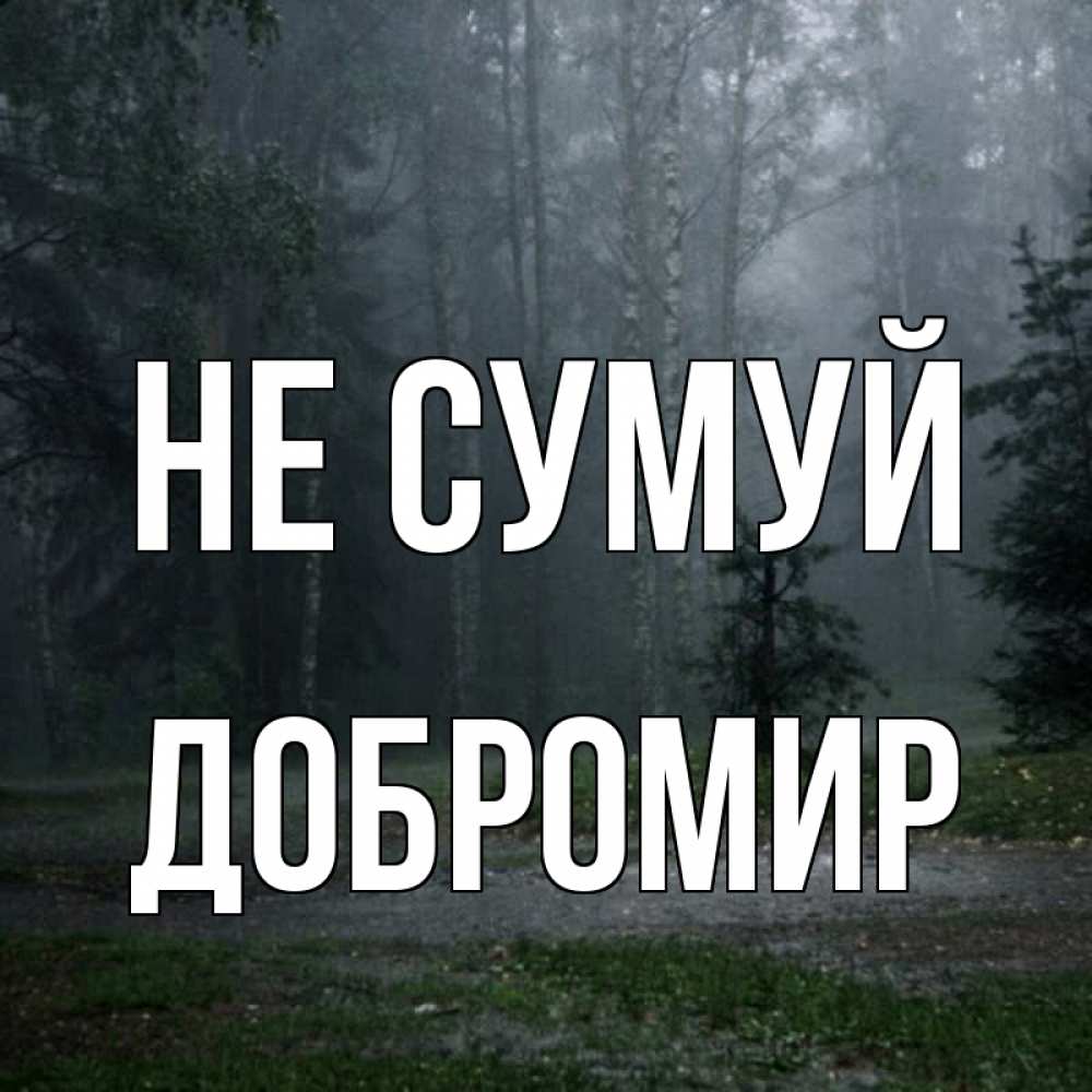 Открытка на каждый день з підписом, Добромир Не сумуй осень Прикольна листівка з побажанням онлайн скачати безкоштовно 