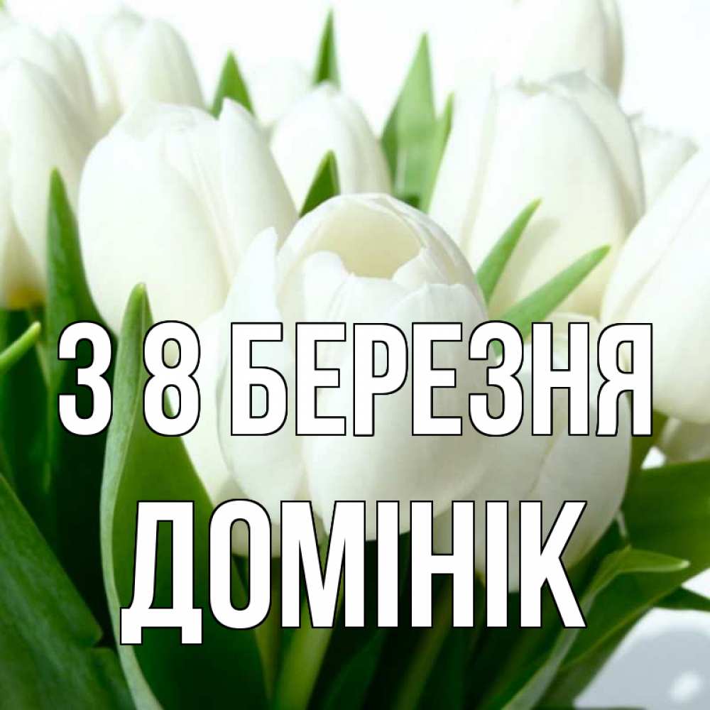 Открытка на каждый день з підписом, Домінік З 8 БЕРЕЗНЯ цветы Прикольна листівка з побажанням онлайн скачати безкоштовно 