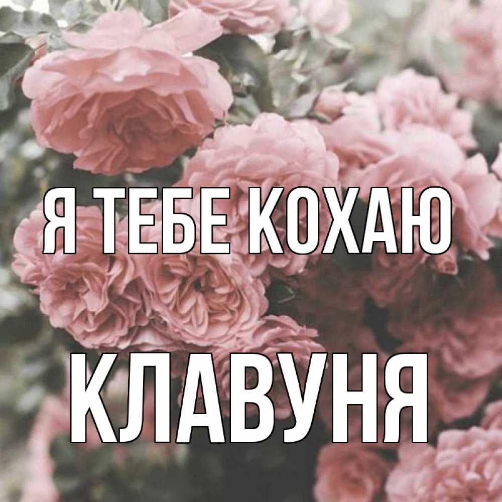 Открытка на каждый день з підписом, Клавуня Я тебе кохаю розы 3 Прикольна листівка з побажанням онлайн скачати безкоштовно 