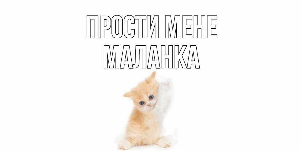 Открытка на каждый день з підписом, Маланка Прости мене кот Прикольна листівка з побажанням онлайн скачати безкоштовно 