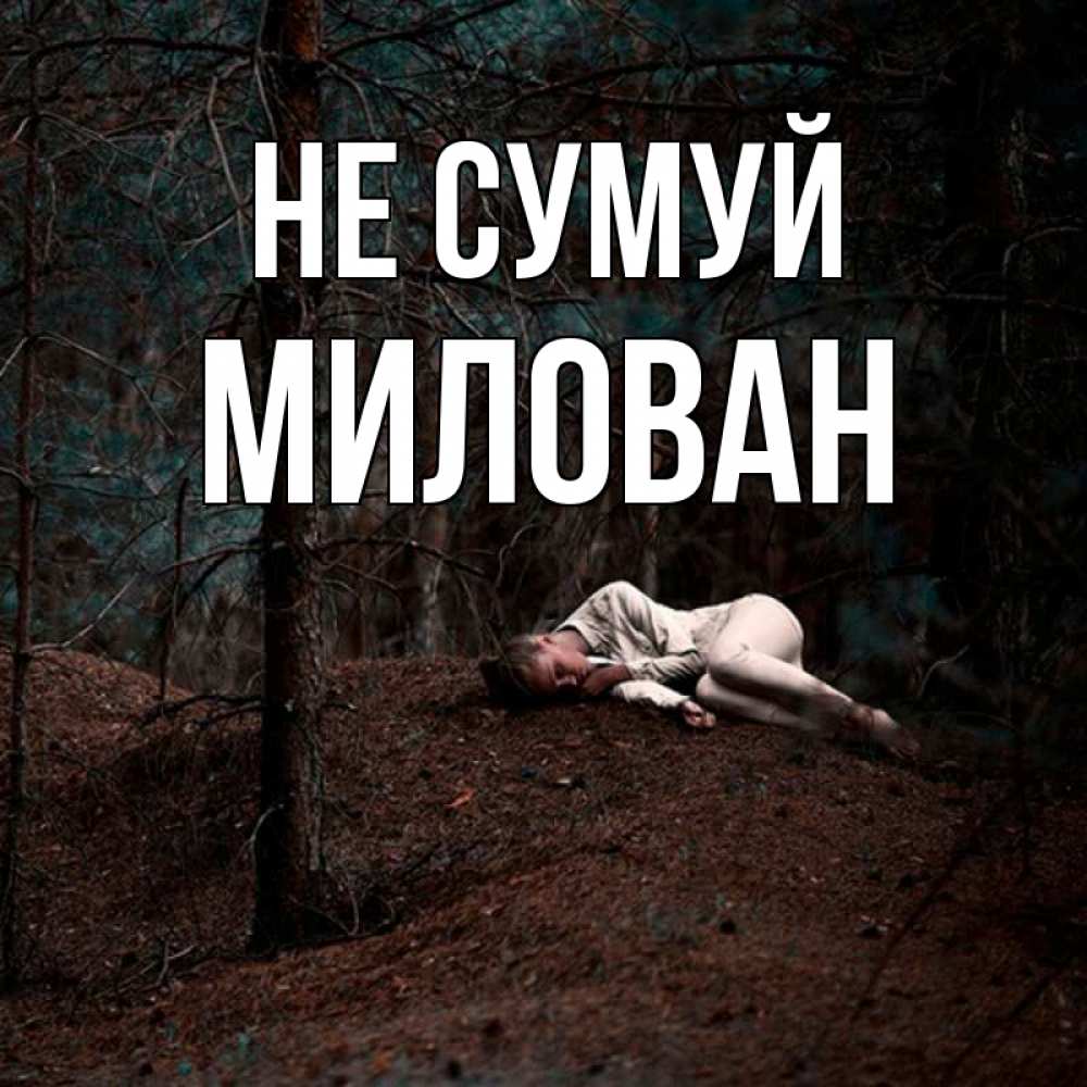 Открытка на каждый день з підписом, Милован Не сумуй лес Прикольна листівка з побажанням онлайн скачати безкоштовно 