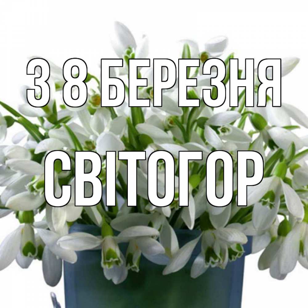 Открытка на каждый день з підписом, Світогор З 8 БЕРЕЗНЯ цветы к международному женскому дню Прикольна листівка з побажанням онлайн скачати безкоштовно 