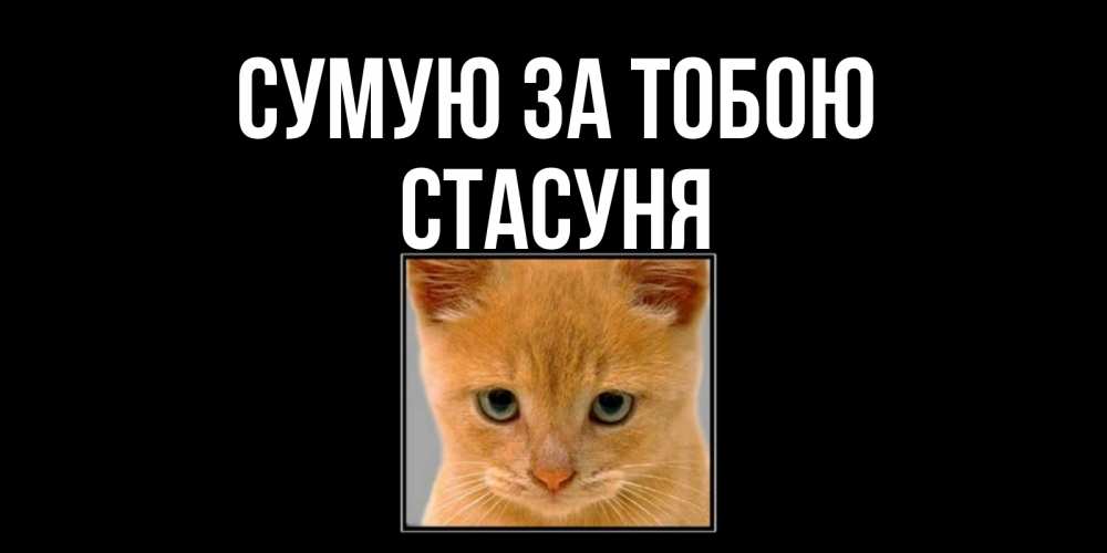 Открытка на каждый день з підписом, Стасуня Сумую за тобою открытки рыжий котенок скучает по тебе Прикольна листівка з побажанням онлайн скачати безкоштовно 