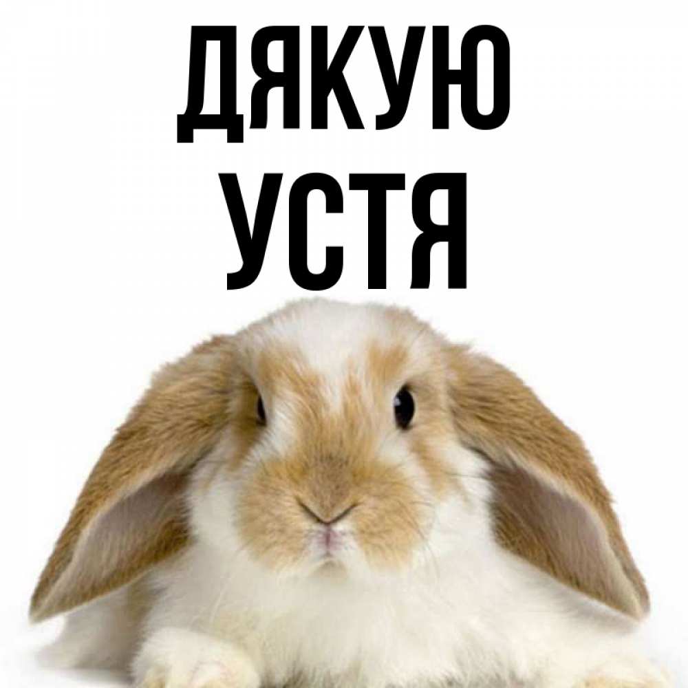 Открытка на каждый день з підписом, Устя Дякую коричнево белый заяц Прикольна листівка з побажанням онлайн скачати безкоштовно 