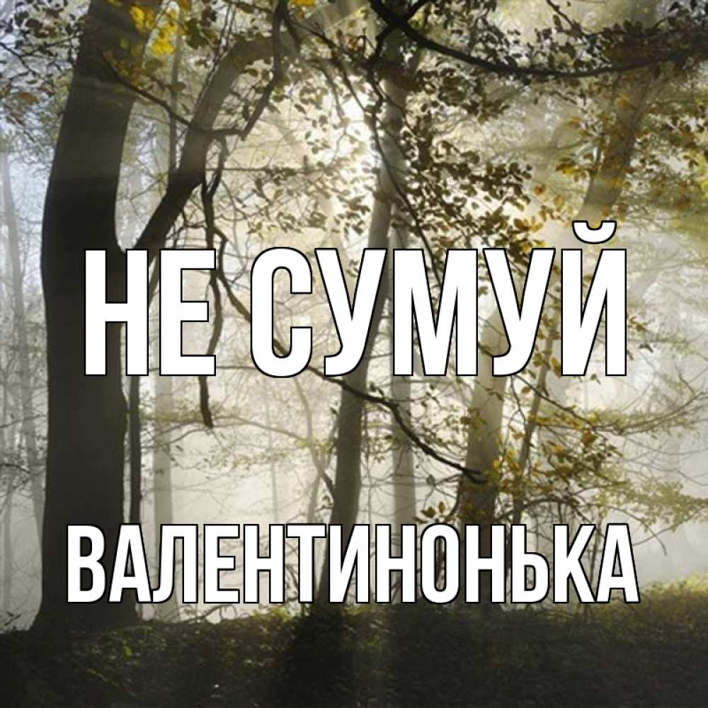 Открытка на каждый день з підписом, Валентинонька Не сумуй лес и свет Прикольна листівка з побажанням онлайн скачати безкоштовно 