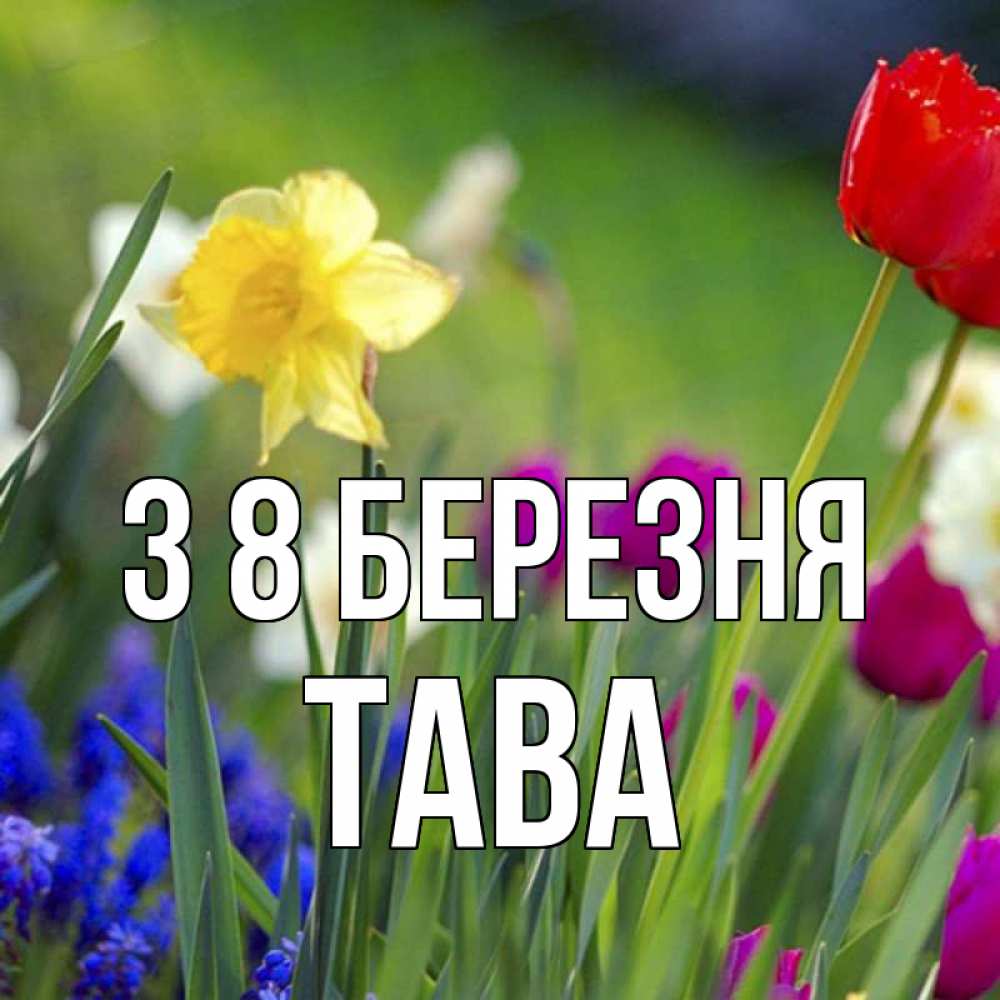 Открытка на каждый день з підписом, Тава З 8 БЕРЕЗНЯ международный женский день 3 Прикольна листівка з побажанням онлайн скачати безкоштовно 