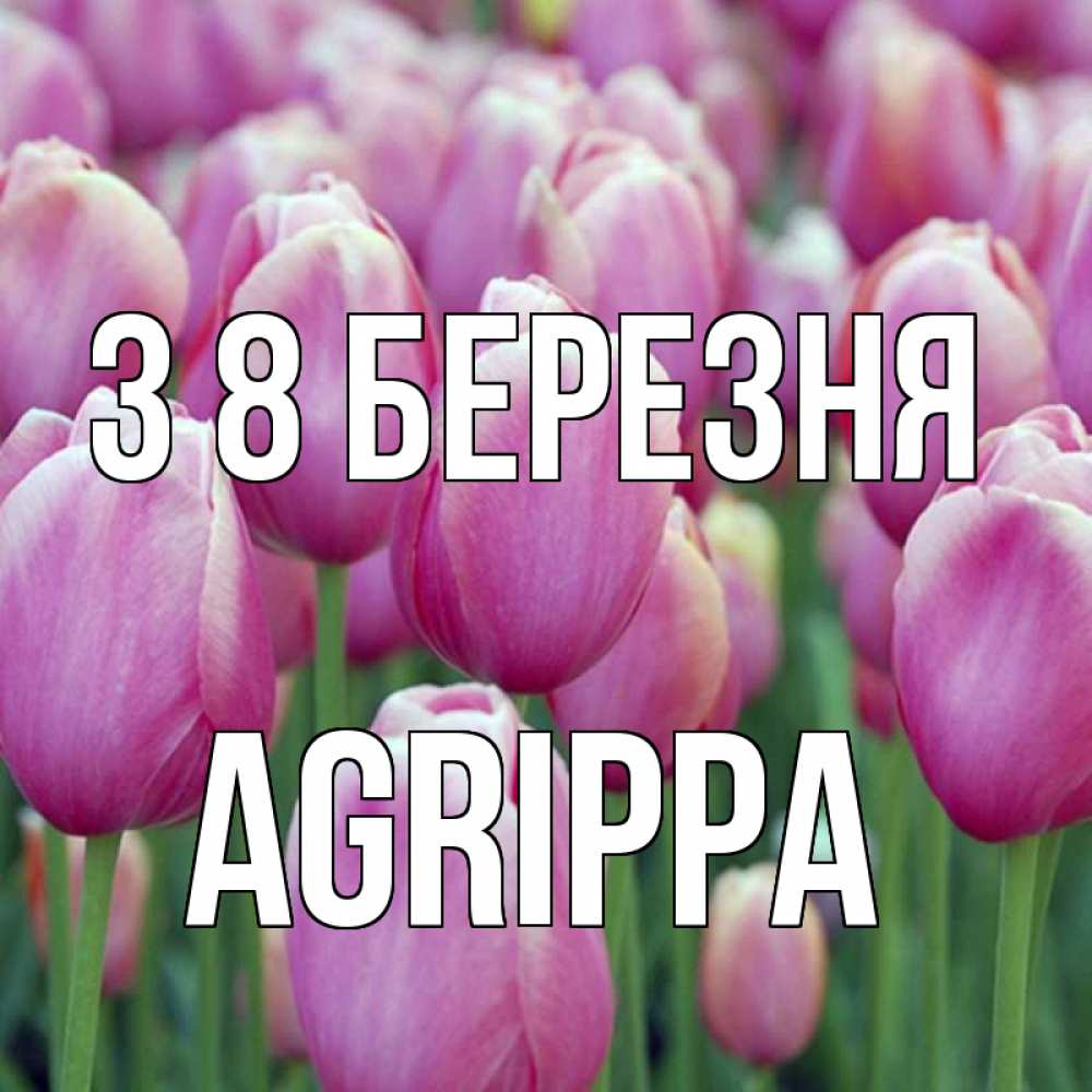 Открытка на каждый день з підписом, Agrippa З 8 БЕРЕЗНЯ на международный женский день 3 Прикольна листівка з побажанням онлайн скачати безкоштовно 