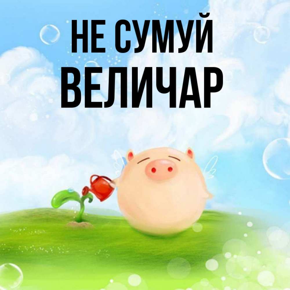 Открытка на каждый день з підписом, Величар Не сумуй поливает цветок порося Прикольна листівка з побажанням онлайн скачати безкоштовно 