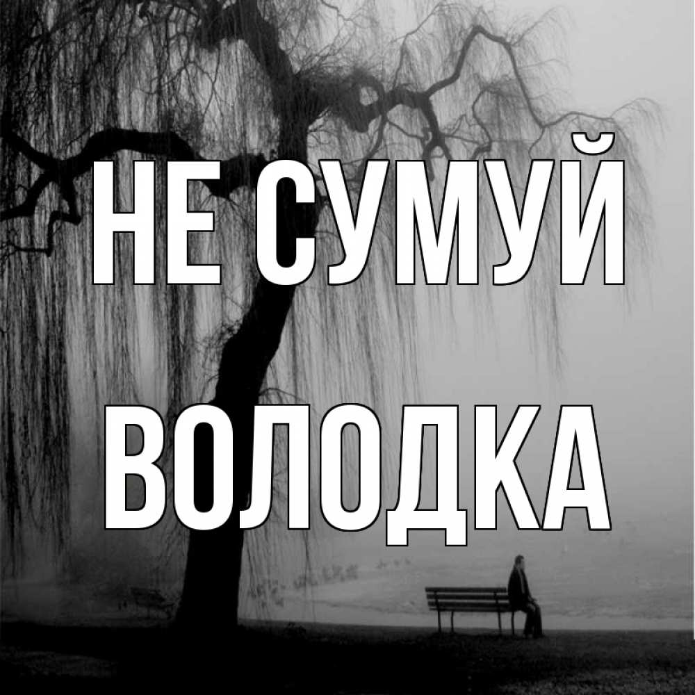 Открытка на каждый день з підписом, Володка Не сумуй висящие ветки дерева и лавочка под деревом Прикольна листівка з побажанням онлайн скачати безкоштовно 