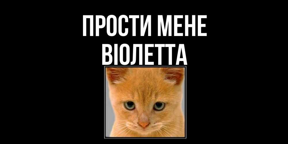 Открытка на каждый день з підписом, Віолетта Прости мене рыжий грустный кот просит прощения Прикольна листівка з побажанням онлайн скачати безкоштовно 