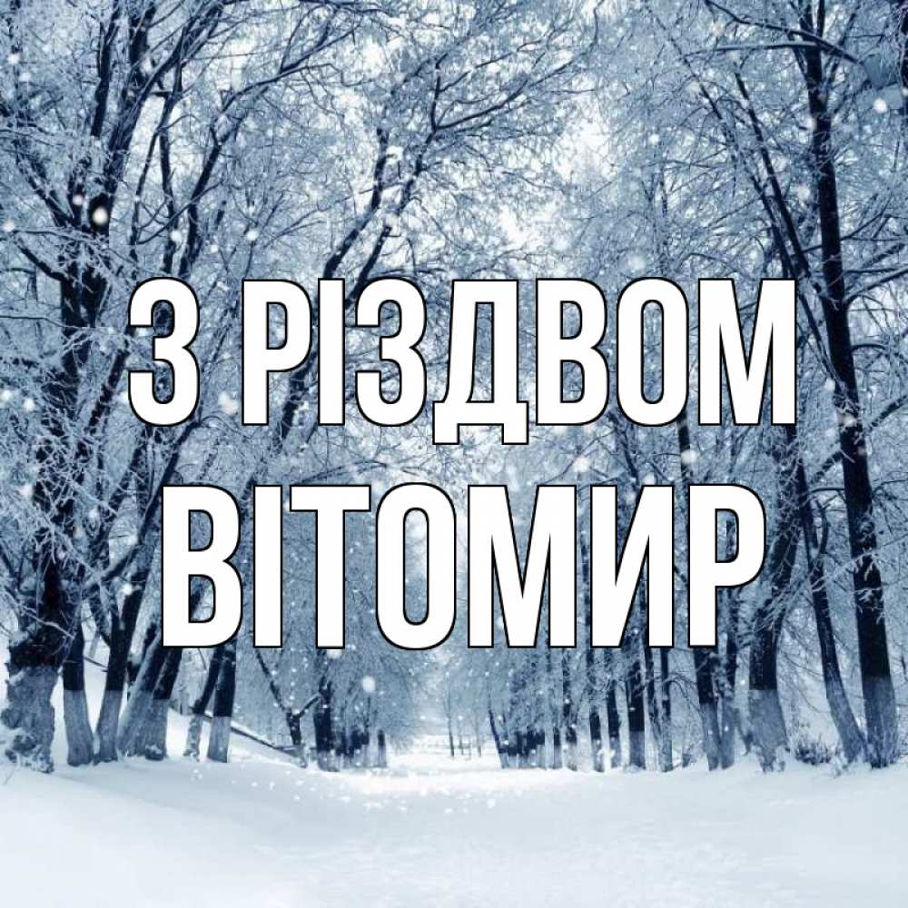 Открытка на каждый день з підписом, Вітомир З Різдвом снег, лес, парк Прикольна листівка з побажанням онлайн скачати безкоштовно 