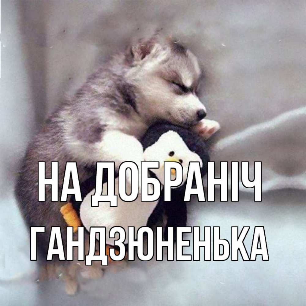 Открытка на каждый день з підписом, Гандзюненька На добраніч обнимашки щенка и пингвина Прикольна листівка з побажанням онлайн скачати безкоштовно 
