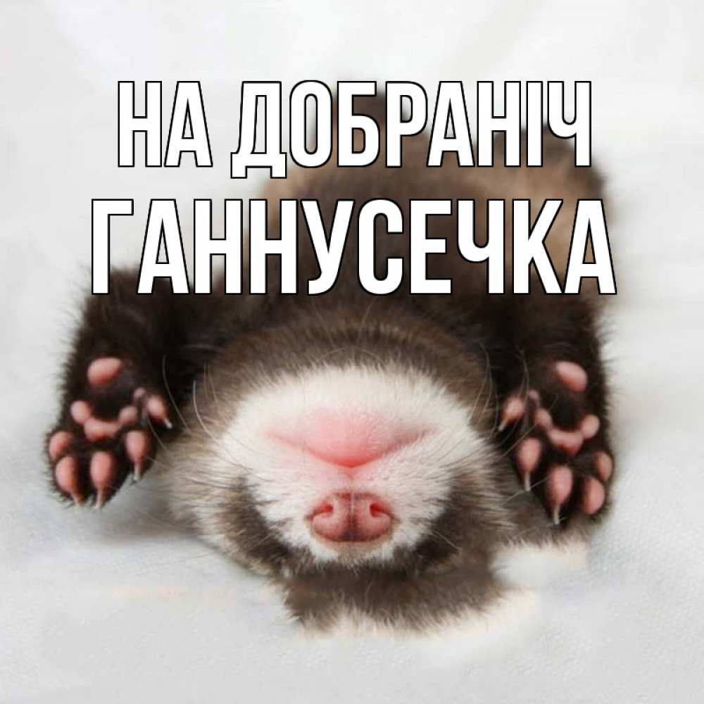 Открытка на каждый день з підписом, Ганнусечка На добраніч зверек Прикольна листівка з побажанням онлайн скачати безкоштовно 