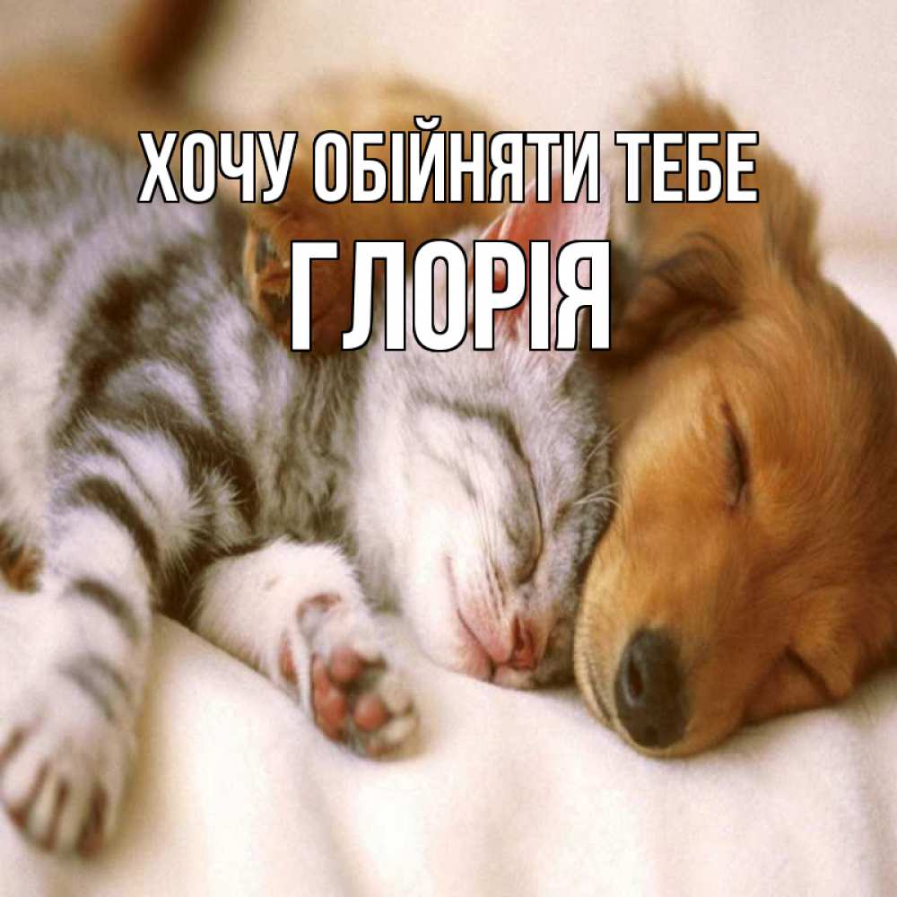 Открытка на каждый день з підписом, Глорія Хочу обійняти тебе пес и котенок Прикольна листівка з побажанням онлайн скачати безкоштовно 