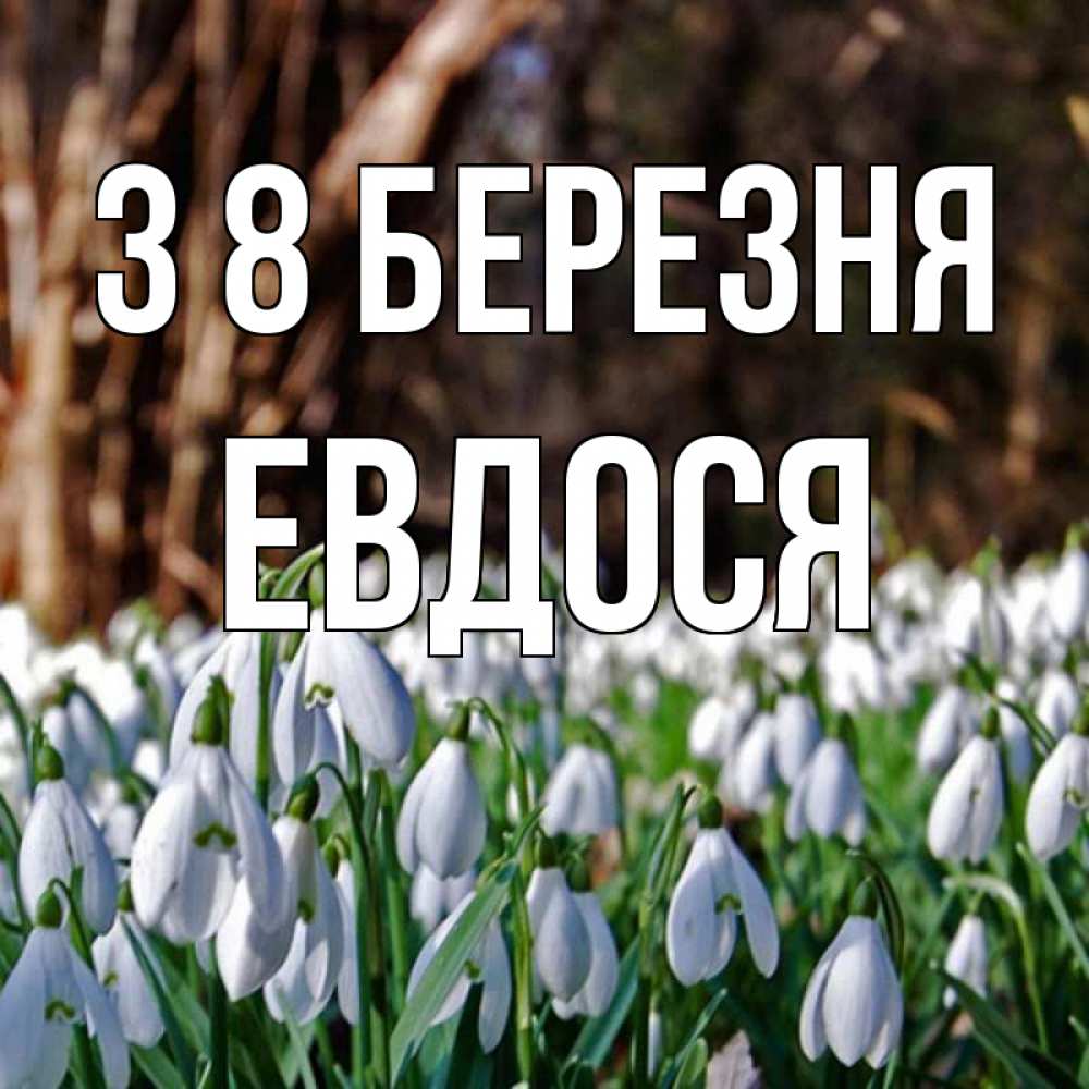 Открытка на каждый день з підписом, Евдося З 8 БЕРЕЗНЯ с подснежниками 1 Прикольна листівка з побажанням онлайн скачати безкоштовно 