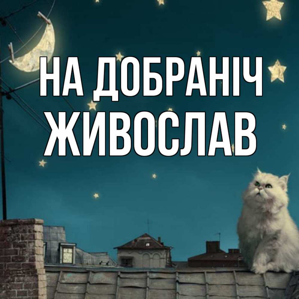 Открытка на каждый день з підписом, Живослав На добраніч белый кот сидит на крыше Прикольна листівка з побажанням онлайн скачати безкоштовно 