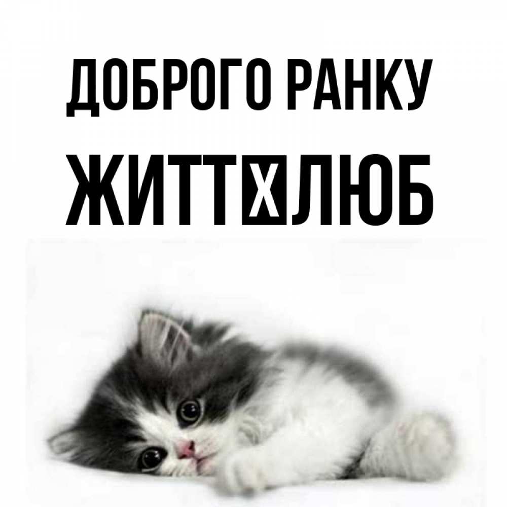 Открытка на каждый день з підписом, Життєлюб Доброго ранку кот лапки Прикольна листівка з побажанням онлайн скачати безкоштовно 