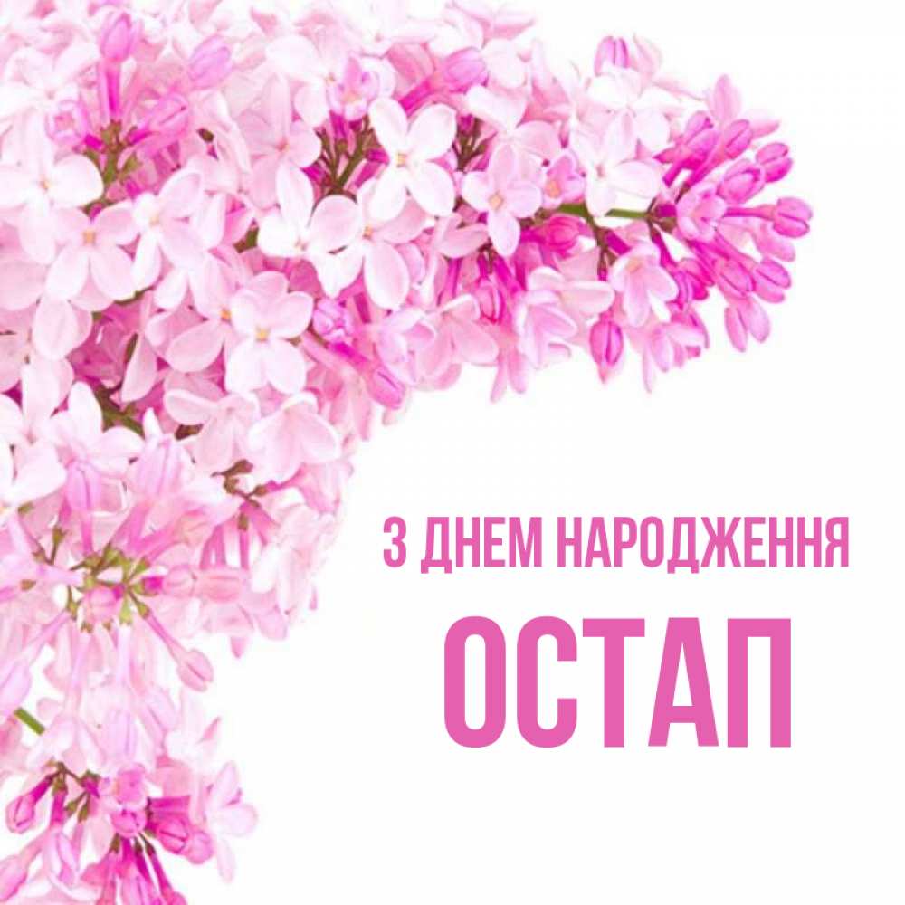 Открытка на каждый день з підписом, Остап З Днем народження Сирень на белом фоне Прикольна листівка з побажанням онлайн скачати безкоштовно 
