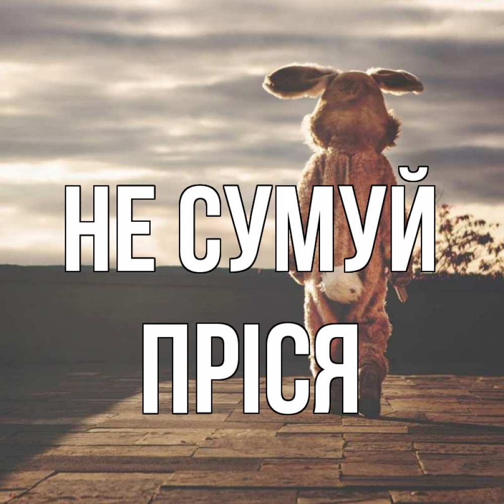 Открытка на каждый день з підписом, Пріся Не сумуй со спины Прикольна листівка з побажанням онлайн скачати безкоштовно 