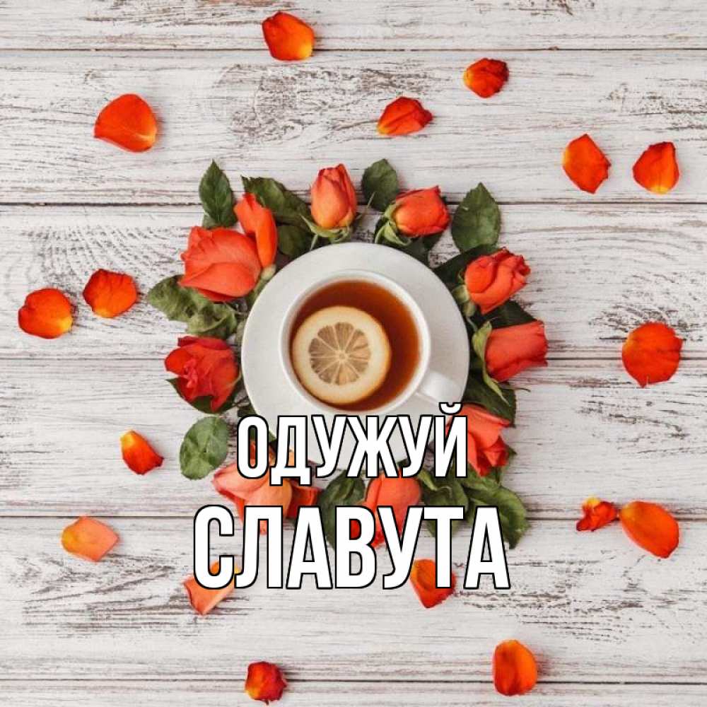 Открытка на каждый день з підписом, Славута Одужуй фон из досок Прикольна листівка з побажанням онлайн скачати безкоштовно 
