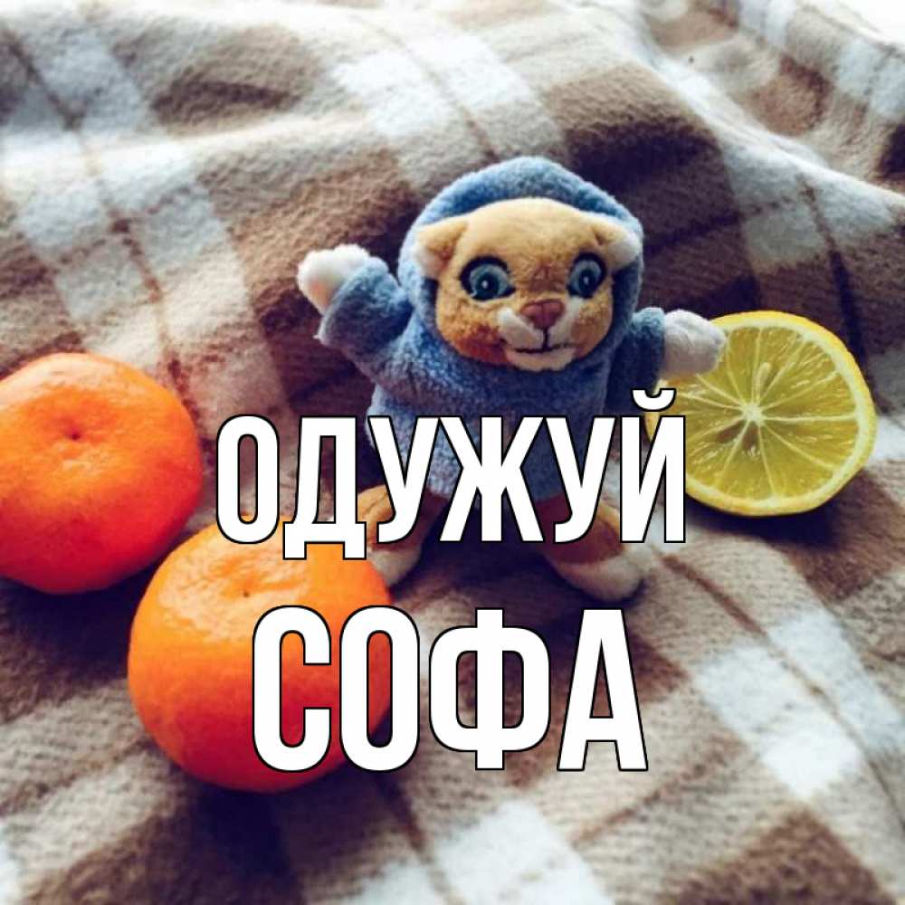 Открытка на каждый день з підписом, Софа Одужуй вот тебе апельсинка и лимон Прикольна листівка з побажанням онлайн скачати безкоштовно 