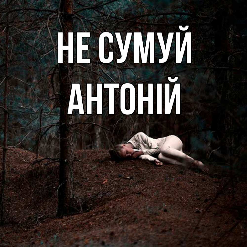 Открытка на каждый день з підписом, Антоній Не сумуй лес Прикольна листівка з побажанням онлайн скачати безкоштовно 