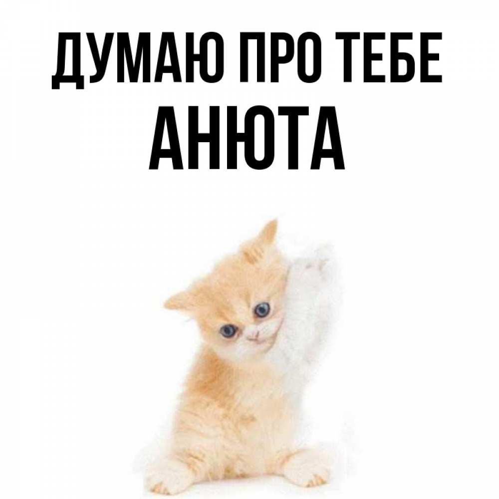 Открытка на каждый день з підписом, Анюта Думаю про тебе зверушки и милота Прикольна листівка з побажанням онлайн скачати безкоштовно 