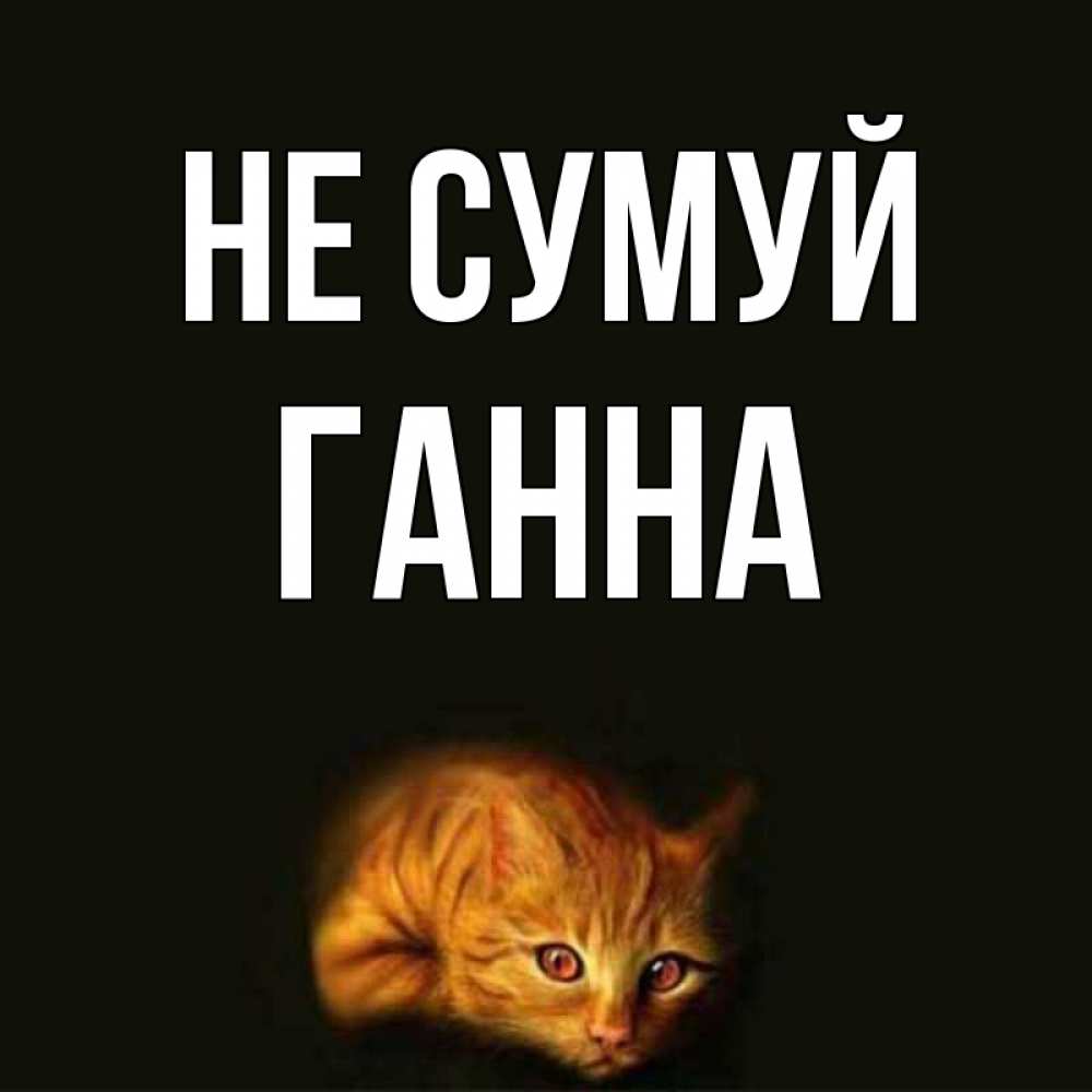 Открытка на каждый день з підписом, Ганна Не сумуй лежащий кот в темноте Прикольна листівка з побажанням онлайн скачати безкоштовно 