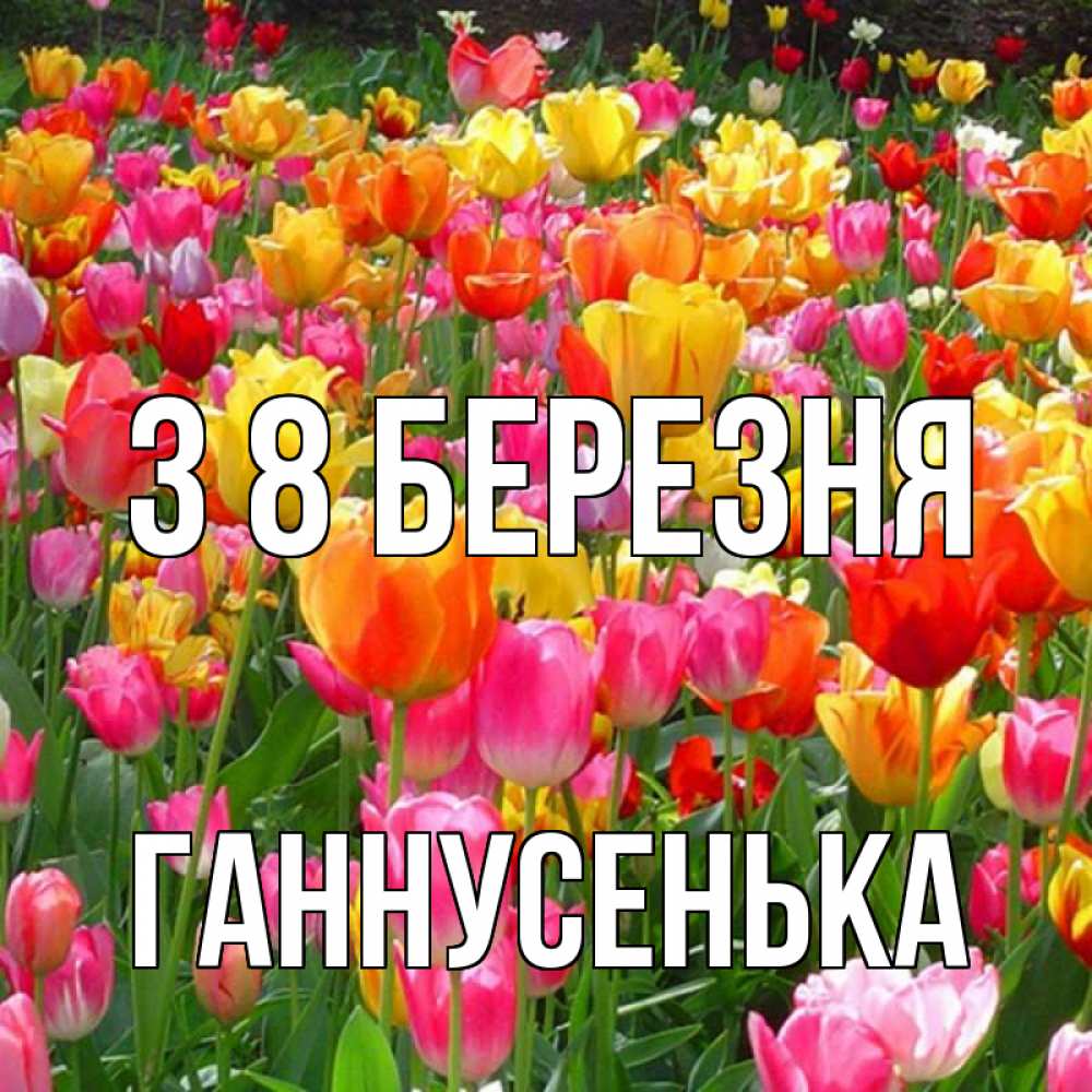 Открытка на каждый день з підписом, Ганнусенька З 8 БЕРЕЗНЯ на международный женский день Прикольна листівка з побажанням онлайн скачати безкоштовно 