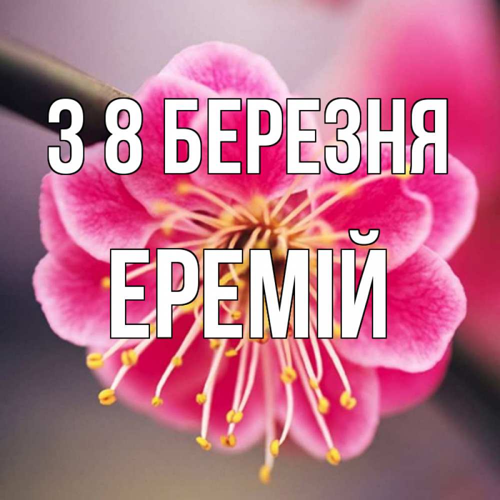 Открытка на каждый день з підписом, Еремій З 8 БЕРЕЗНЯ цветы Прикольна листівка з побажанням онлайн скачати безкоштовно 