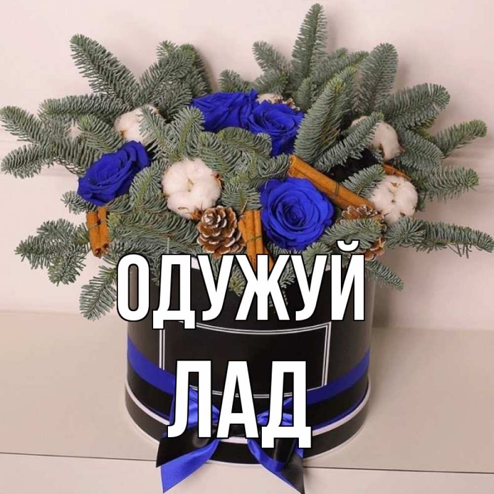 Открытка на каждый день з підписом, Лад Одужуй короче кто то загрузил эти шишки Прикольна листівка з побажанням онлайн скачати безкоштовно 