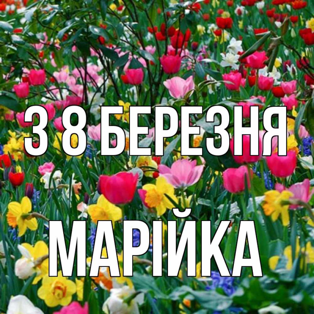 Открытка на каждый день з підписом, Марійка З 8 БЕРЕЗНЯ с международным женским днем поздравления для женщины Прикольна листівка з побажанням онлайн скачати безкоштовно 