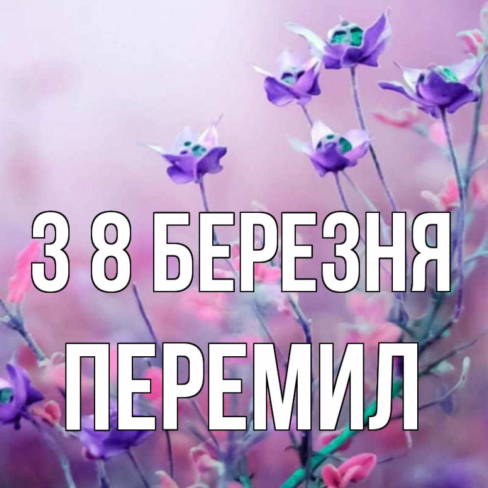 Открытка на каждый день з підписом, Перемил З 8 БЕРЕЗНЯ международный женский день 2 Прикольна листівка з побажанням онлайн скачати безкоштовно 
