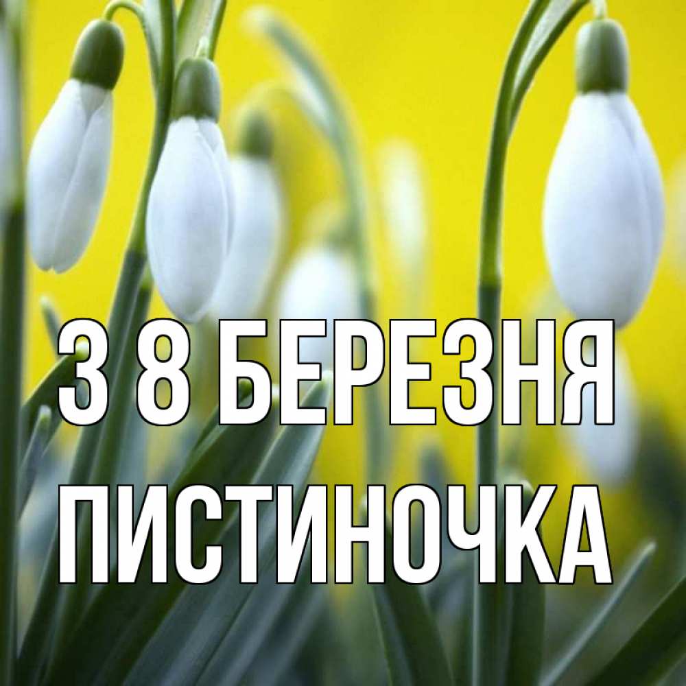 Открытка на каждый день з підписом, Пистиночка З 8 БЕРЕЗНЯ весенние цветы Прикольна листівка з побажанням онлайн скачати безкоштовно 