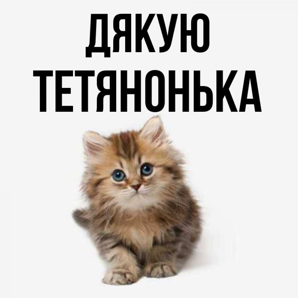 Открытка на каждый день з підписом, Тетянонька Дякую пушистый котик Прикольна листівка з побажанням онлайн скачати безкоштовно 