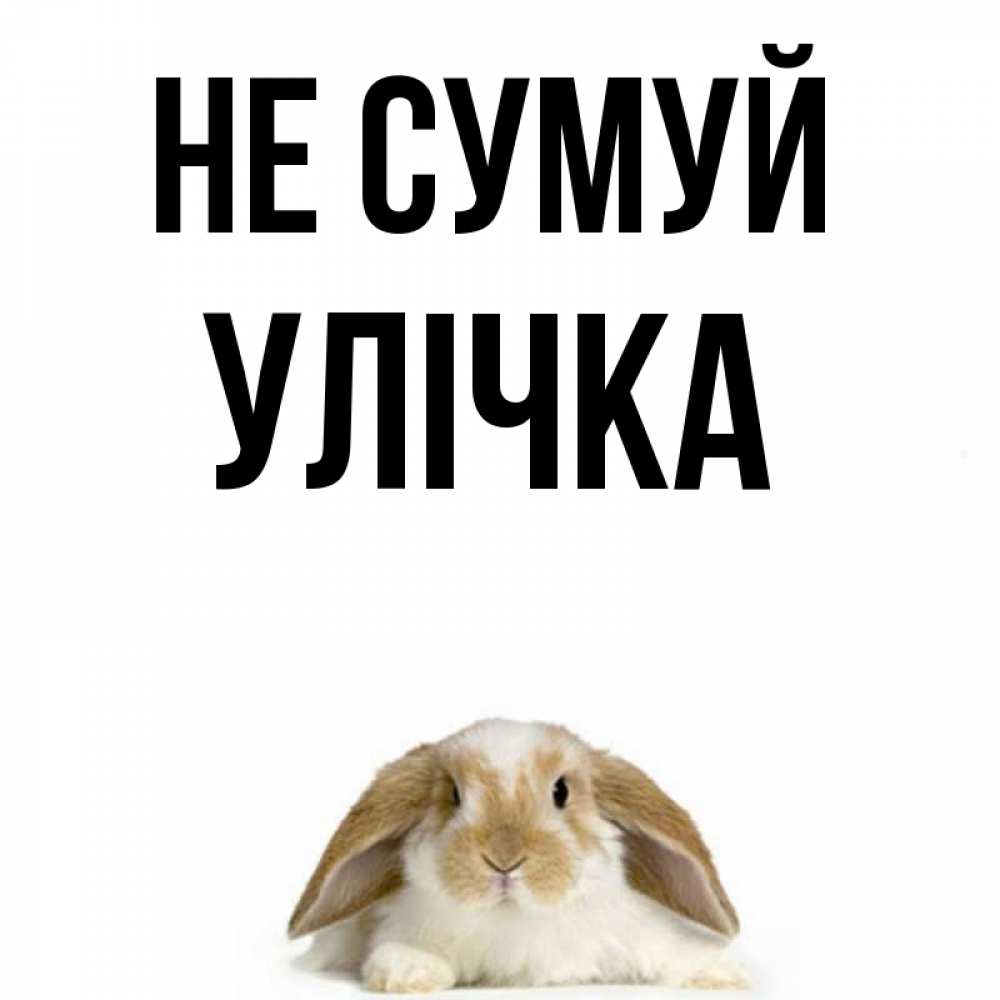 Открытка на каждый день з підписом, Улічка Не сумуй коричнево белый заяц с большими ушками Прикольна листівка з побажанням онлайн скачати безкоштовно 