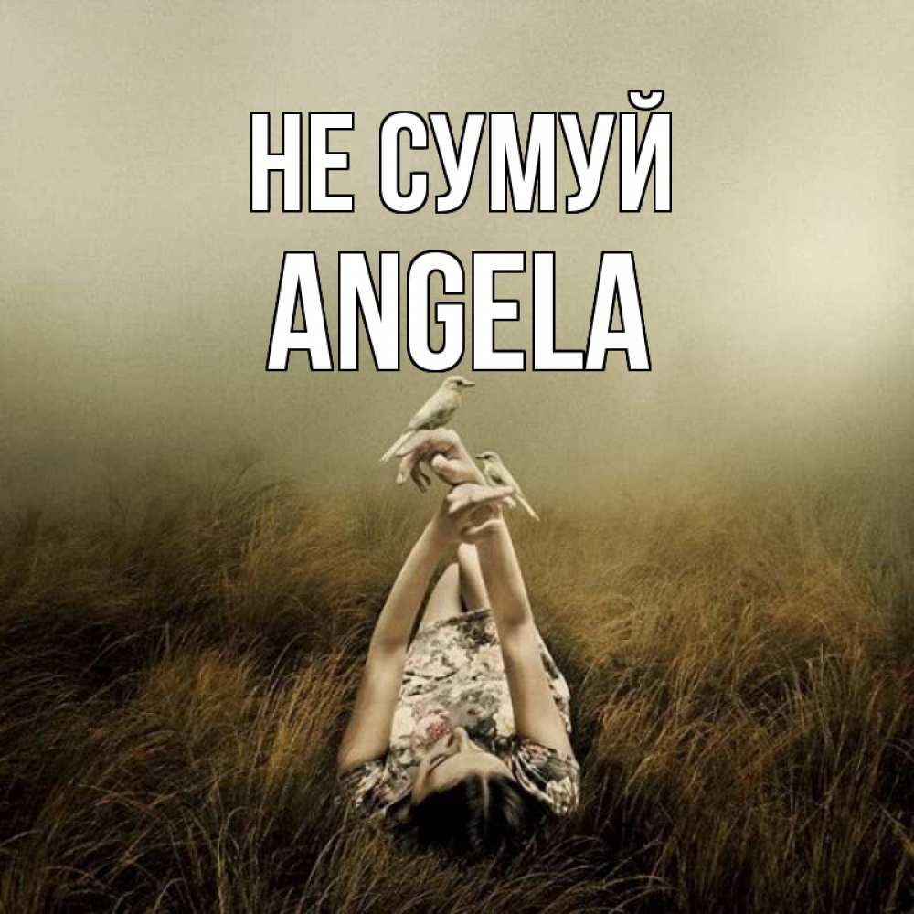 Открытка на каждый день з підписом, Angela Не сумуй поле и туман Прикольна листівка з побажанням онлайн скачати безкоштовно 