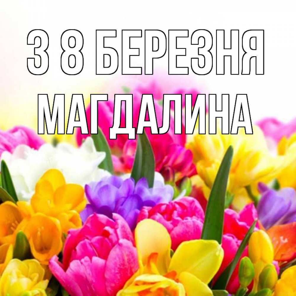 Открытка на каждый день з підписом, Магдалина З 8 БЕРЕЗНЯ тюльпаны Прикольна листівка з побажанням онлайн скачати безкоштовно 