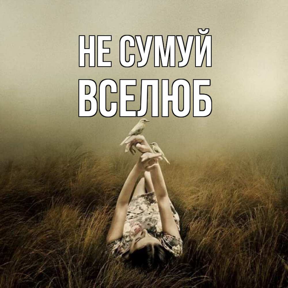 Открытка на каждый день з підписом, Вселюб Не сумуй поле и туман Прикольна листівка з побажанням онлайн скачати безкоштовно 