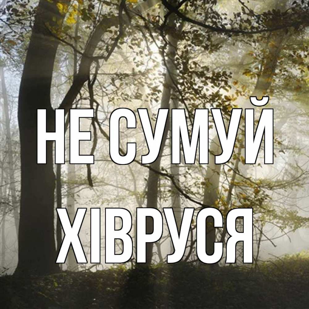 Открытка на каждый день з підписом, Хівруся Не сумуй лес и свет Прикольна листівка з побажанням онлайн скачати безкоштовно 