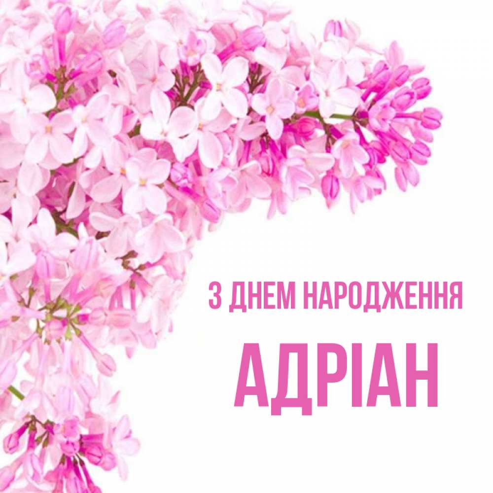 Открытка на каждый день з підписом, Адріан З Днем народження Сирень на белом фоне Прикольна листівка з побажанням онлайн скачати безкоштовно 