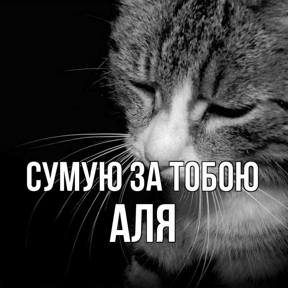Открытка на каждый день з підписом, Аля Сумую за тобою мне скучно Прикольна листівка з побажанням онлайн скачати безкоштовно 