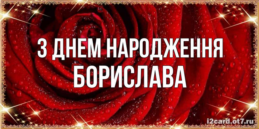 Открытка на каждый день з підписом, Борислава З Днем народження роса на розе блестящая в лучах солнца Прикольна листівка з побажанням онлайн скачати безкоштовно 