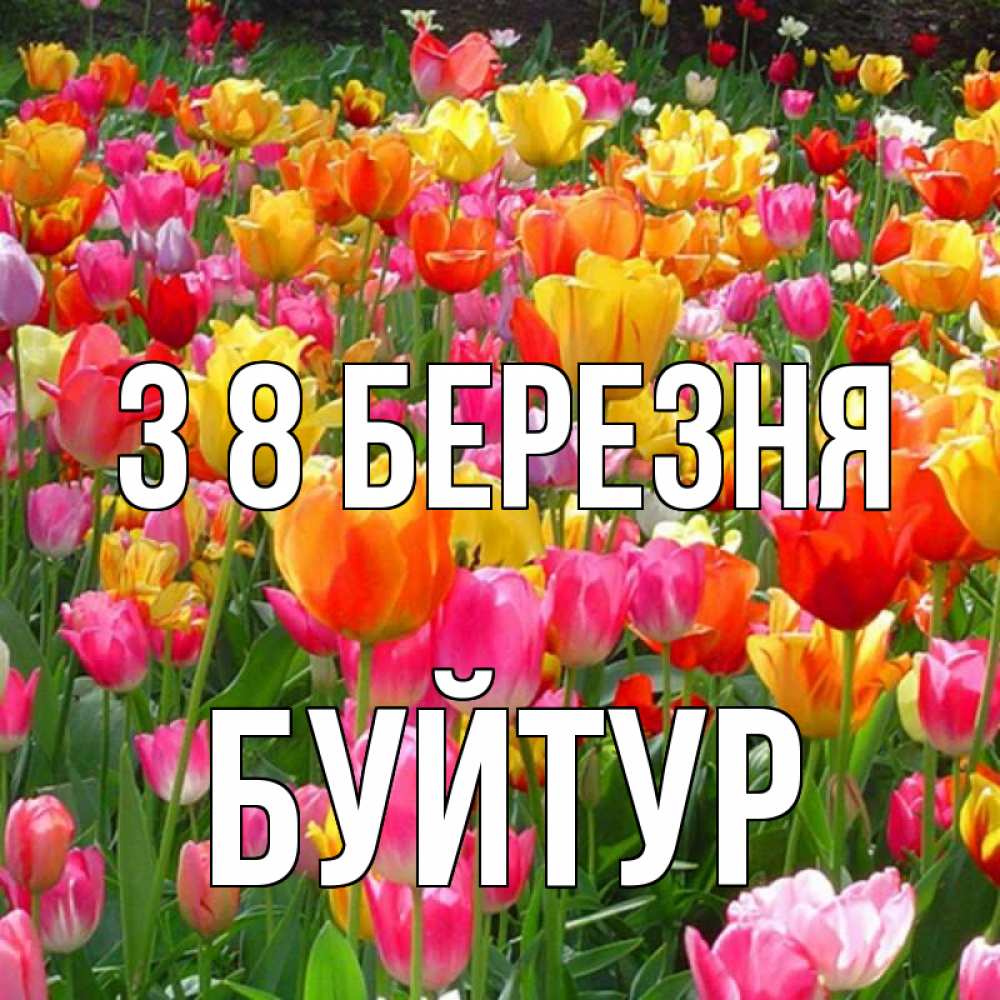 Открытка на каждый день з підписом, Буйтур З 8 БЕРЕЗНЯ на международный женский день Прикольна листівка з побажанням онлайн скачати безкоштовно 