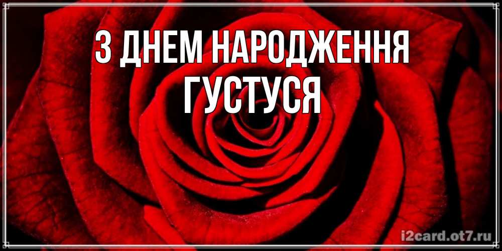Открытка на каждый день з підписом, Густуся З Днем народження алая роза Прикольна листівка з побажанням онлайн скачати безкоштовно 