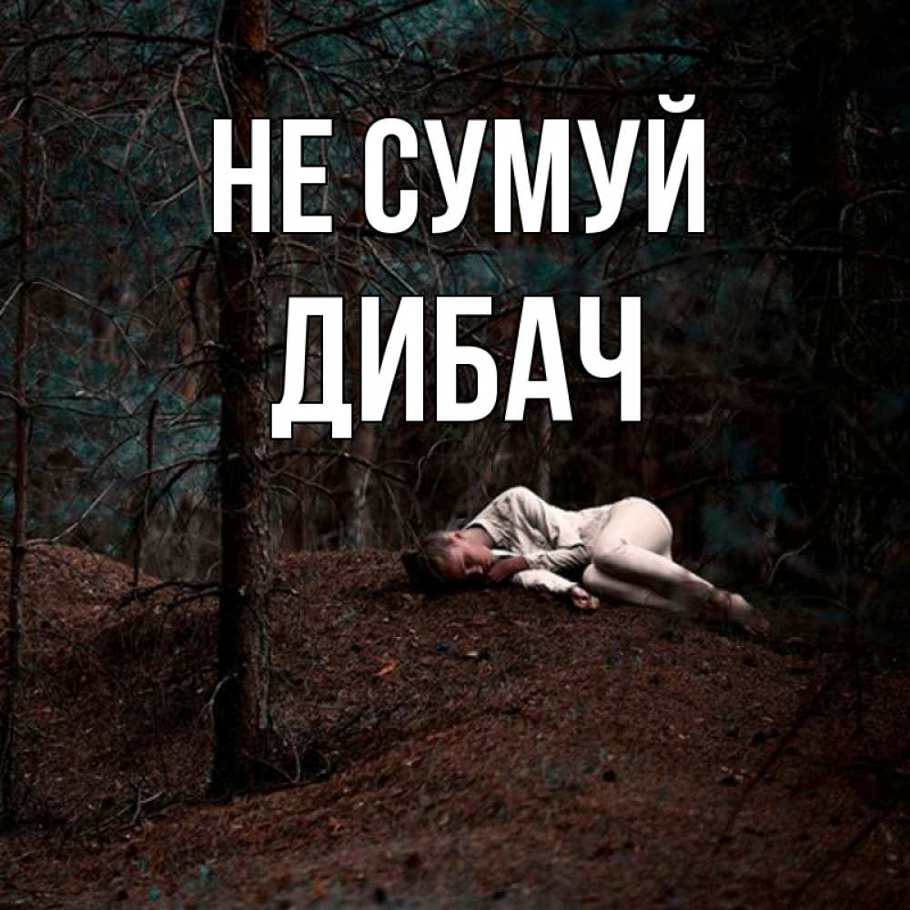 Открытка на каждый день з підписом, Дибач Не сумуй лес Прикольна листівка з побажанням онлайн скачати безкоштовно 