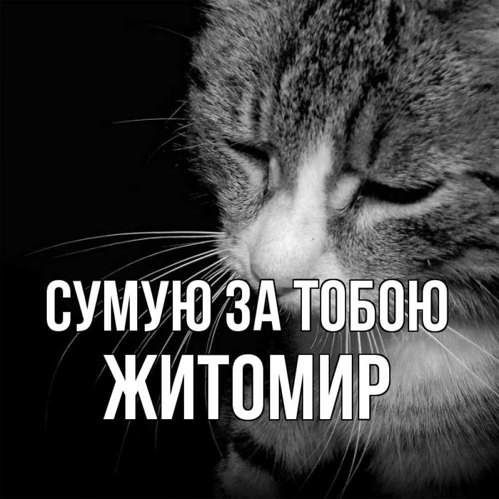 Открытка на каждый день з підписом, Житомир Сумую за тобою мне скучно Прикольна листівка з побажанням онлайн скачати безкоштовно 